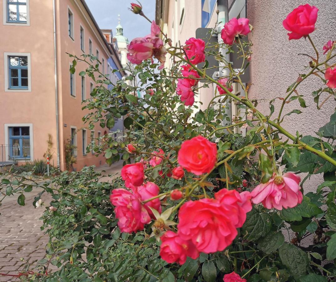 Fynbos Apartments In Der Altstadt, Frauenkirche, Historisch, Parkplatz Meißen Exteriér fotografie