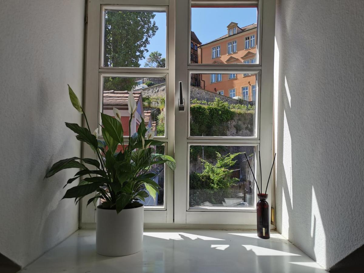 Fynbos Apartments In Der Altstadt, Frauenkirche, Historisch, Parkplatz Meißen Exteriér fotografie
